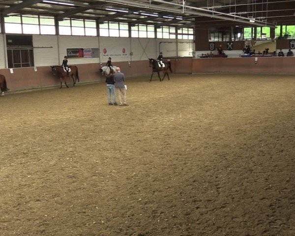 Reitturnier Leichlingen 2024