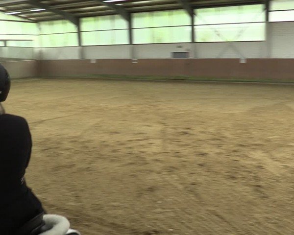Reitturnier Leichlingen 2024