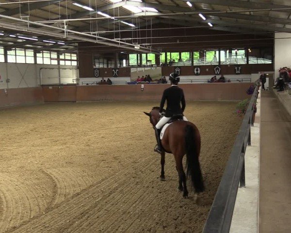 Reitturnier Leichlingen 2024