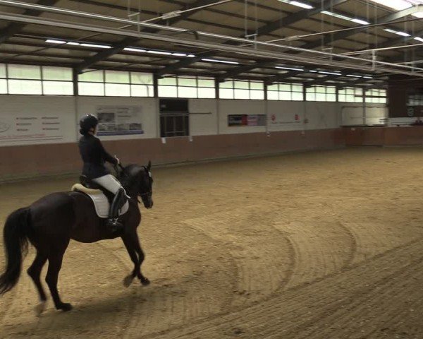 Reitturnier Leichlingen 2024