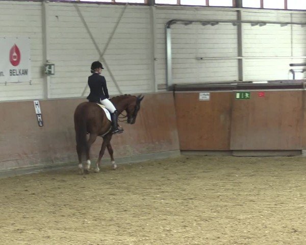 Reitturnier Leichlingen 2024