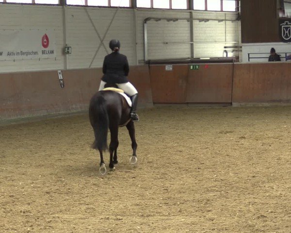 Reitturnier Leichlingen 2024