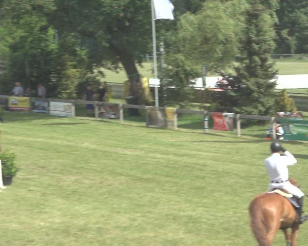 Reitturnier Pennigbüttel 2024