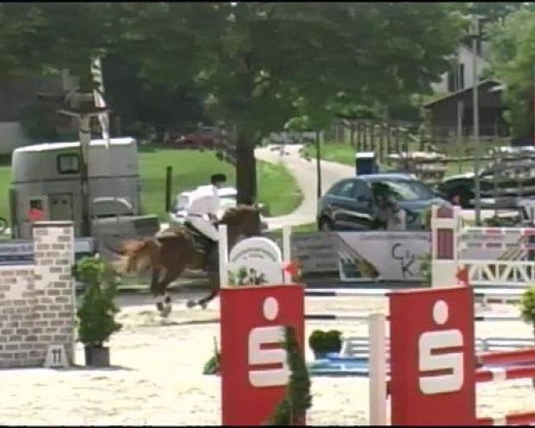 Reitertage Hagau 2012