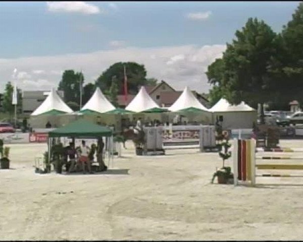 Reitertage Hagau 2012