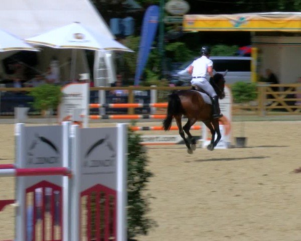 Reitturnier Borken 2024