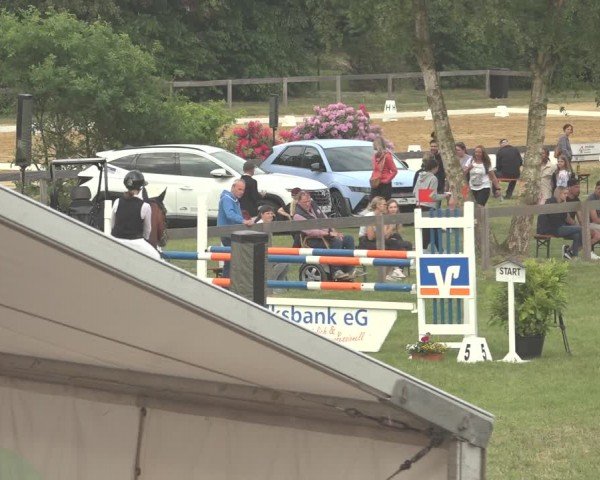 Reitturnier Pennigbüttel 2024