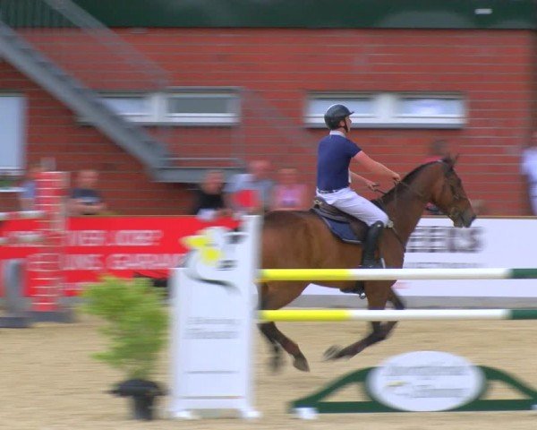 Reitturnier Borken 2024