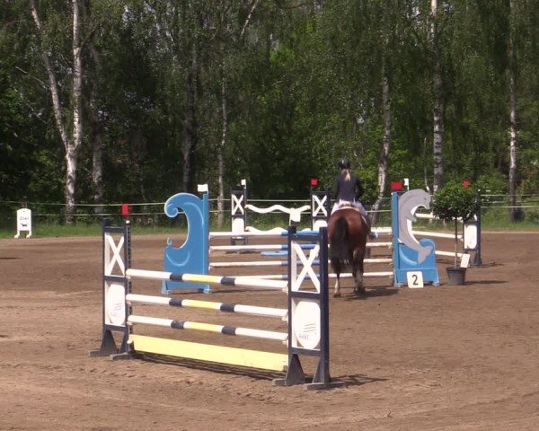 Reitturnier Lgl.-Oberhain, B95 2024
