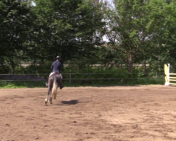 Reitturnier Lgl.-Oberhain, B95 2024