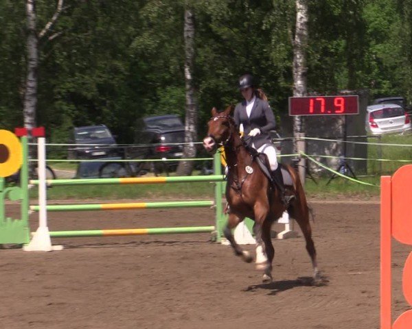 Reitturnier Lgl.-Oberhain, B95 2024