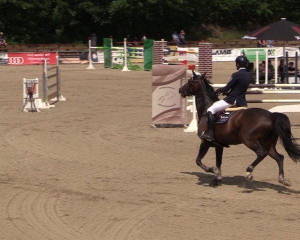 Reitturnier Lgl.-Oberhain, B95 2024