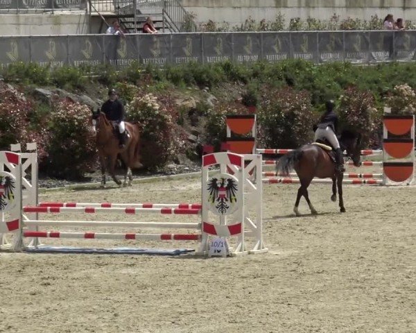 Reitturnier St. Margarethen 2024