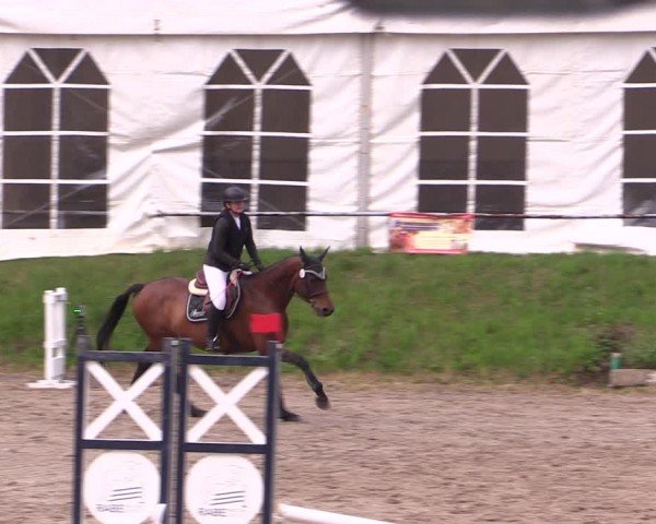 Reitturnier Lgl.-Oberhain, B95 2024