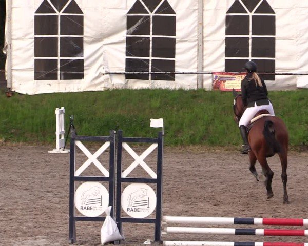 Reitturnier Lgl.-Oberhain, B95 2024