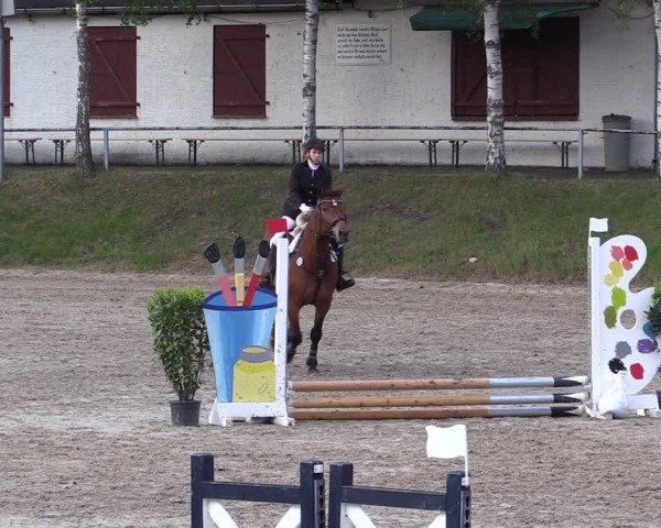 Reitturnier Lgl.-Oberhain, B95 2024