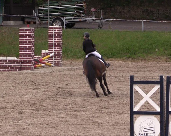 Reitturnier Lgl.-Oberhain, B95 2024