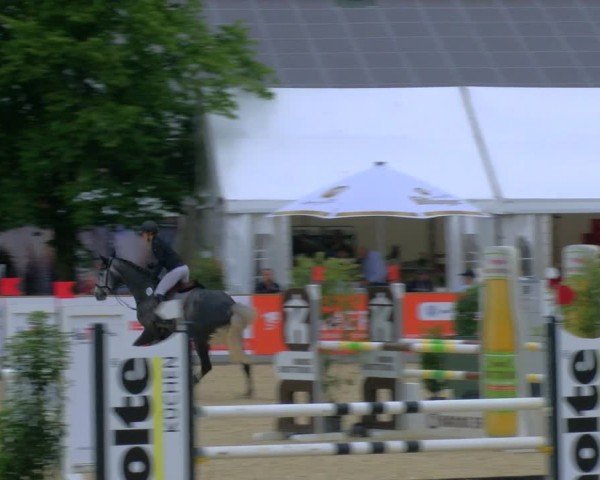 Reitturnier Borken 2024