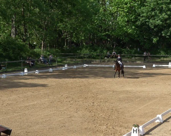 Reitturnier Königsbrunn-Ulrichshof/Schw. 2024