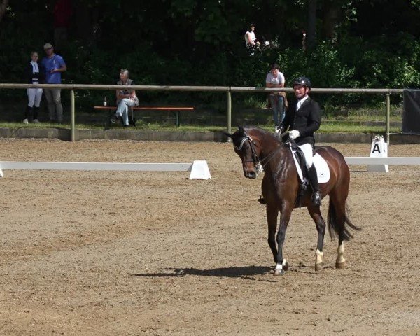Reitturnier Königsbrunn-Ulrichshof/Schw. 2024