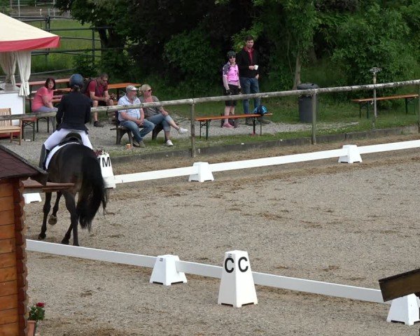 Reitturnier Königsbrunn-Ulrichshof/Schw. 2024