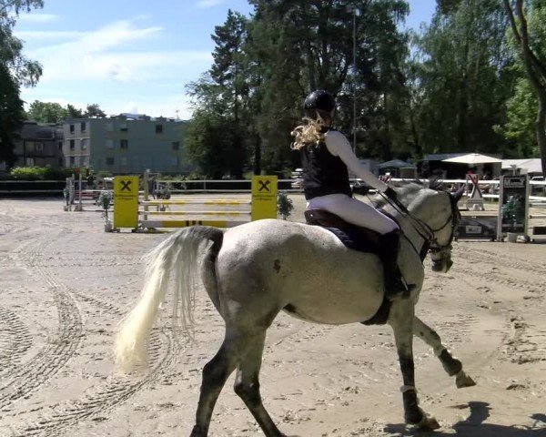 Reitturnier Stadt Bregenz 2024
