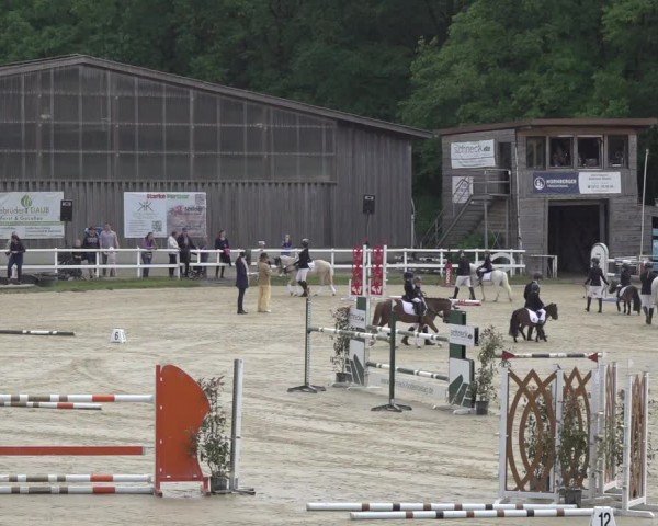Reitturnier Siegen-Weidenau  2024