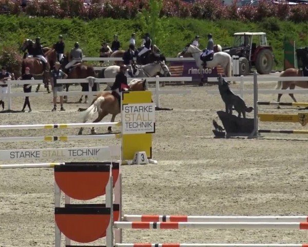 Reitturnier St. Margarethen 2024