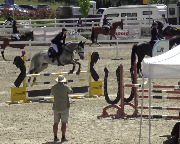 Reitturnier St. Margarethen 2024