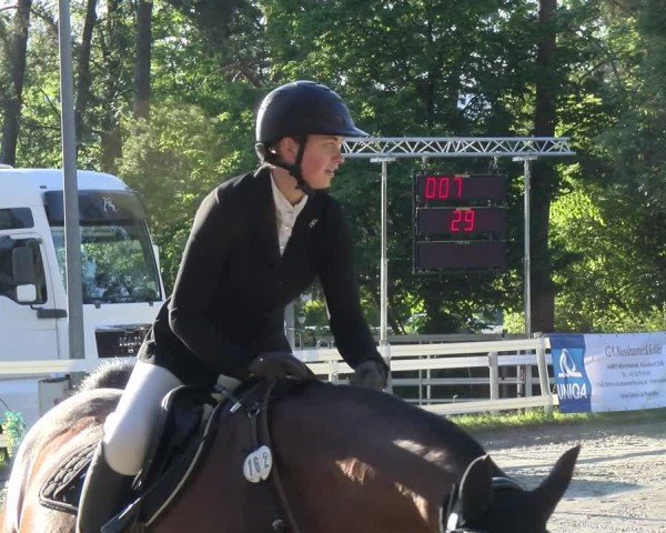 Reitturnier Stadt Bregenz 2024