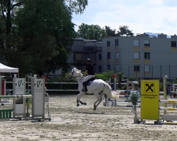 Reitturnier Stadt Bregenz 2024