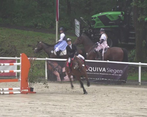 Reitturnier Siegen-Weidenau  2024