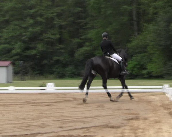 Reitturnier Horka 2024