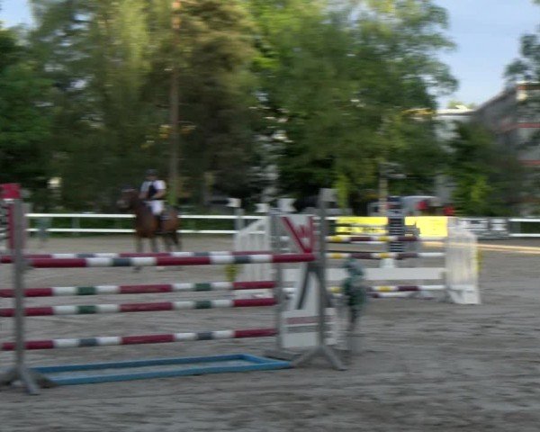 Reitturnier Stadt Bregenz 2024