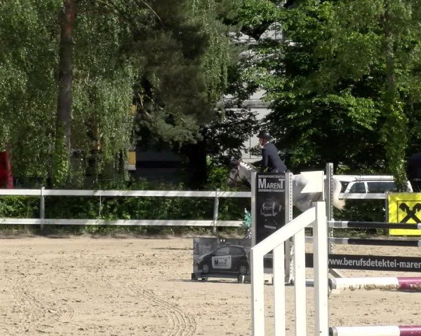 Reitturnier Stadt Bregenz 2024