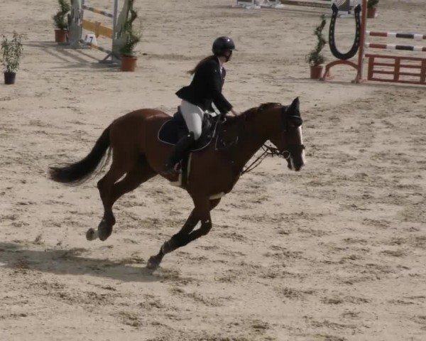 Reitturnier St. Margarethen 2022