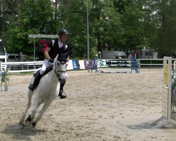 Reitturnier Stadt Bregenz 2024