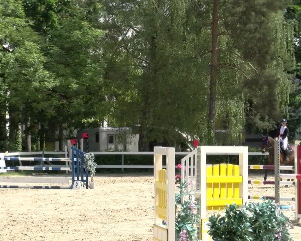 Reitturnier Stadt Bregenz 2024