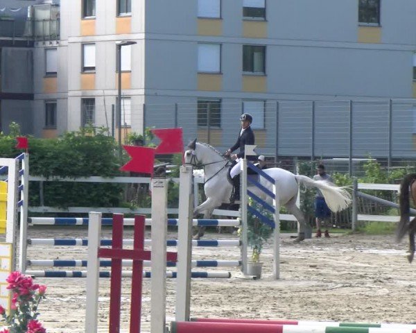 Reitturnier Stadt Bregenz 2024