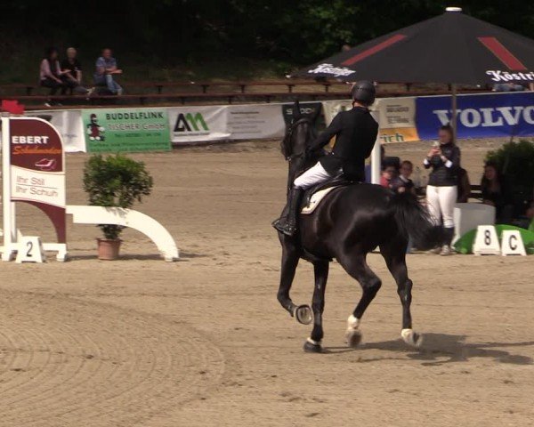 Reitturnier Lgl.-Oberhain, B95 2024