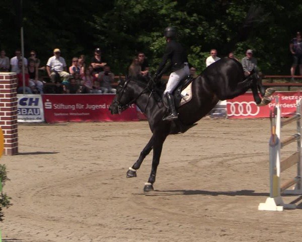 Reitturnier Lgl.-Oberhain, B95 2024
