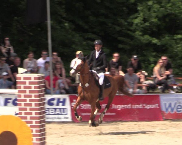 Reitturnier Lgl.-Oberhain, B95 2024