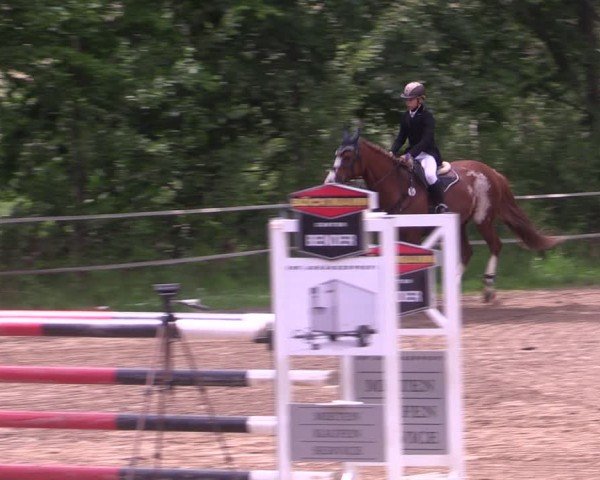 Reitturnier Lgl.-Oberhain, B95 2024