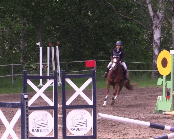 Reitturnier Lgl.-Oberhain, B95 2024