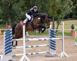 broodmare Baroness 376 (Oldenburg show jumper, 2011, from Balou du Rouet)
