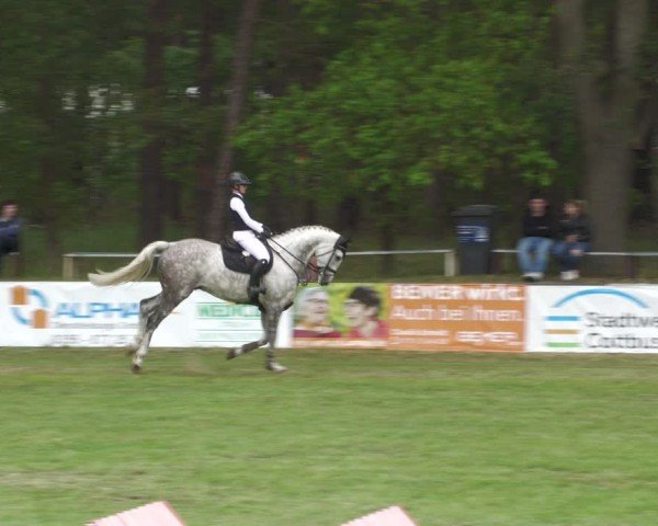 Reitturnier Cottbus-Sielow 2024