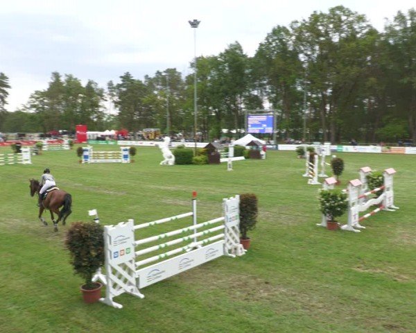 Reitturnier Cottbus-Sielow 2024