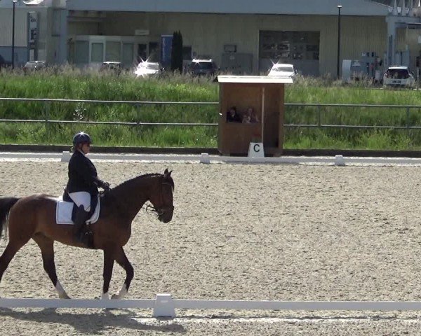 Reitturnier Werdenberg 2024