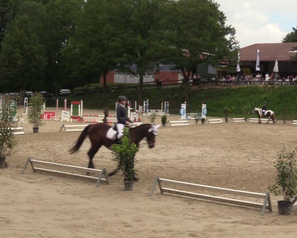 Reitturnier Iserlohn-Kalthof 2024
