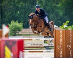 jumper Vancouver B (Hanoverian, 2016, from Vancouver d'Auvray)